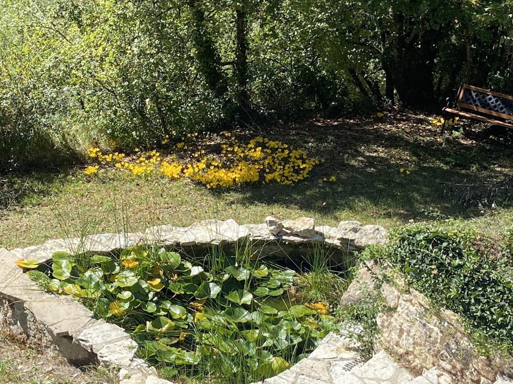 Le Manoir De St Marcel Vila Saint-Marcel-du-Périgord Quarto foto