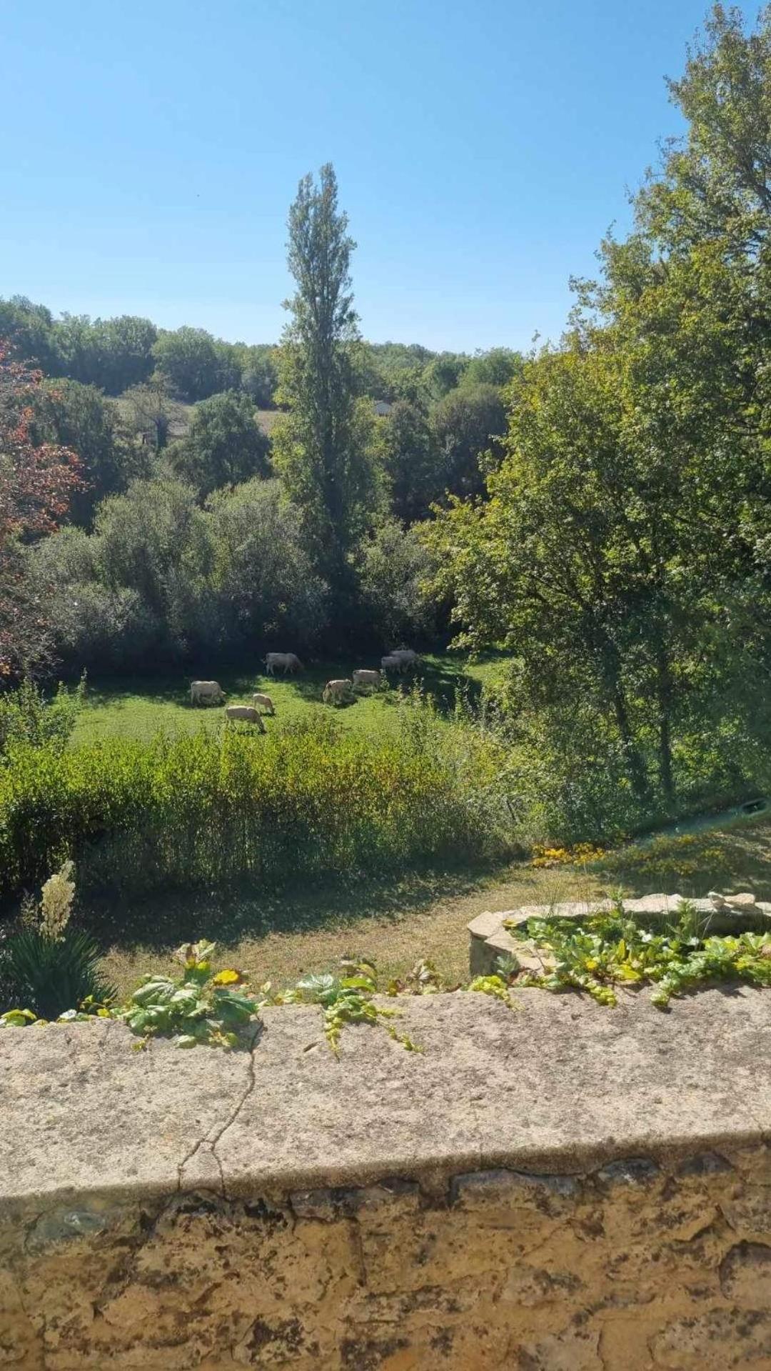 Le Manoir De St Marcel Vila Saint-Marcel-du-Périgord Quarto foto